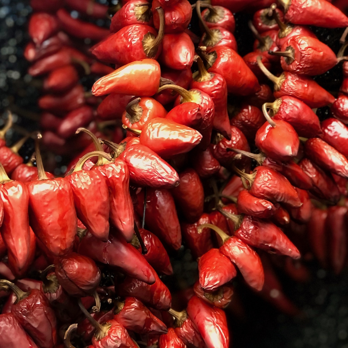 Chilischoten im Räucherofen hängend für das geräucherte Chilipulver